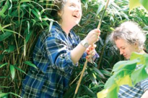 9 steps to sustainability