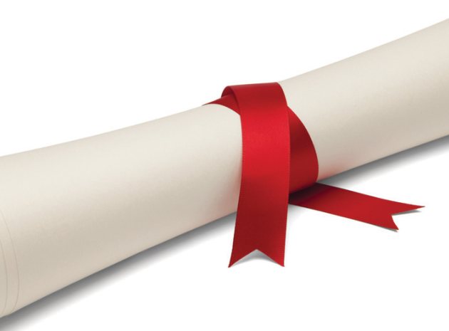 Fiona Millar: the long game