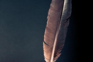 Literacy across the curriculum