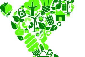 Embedding a culture of sustainability in schools