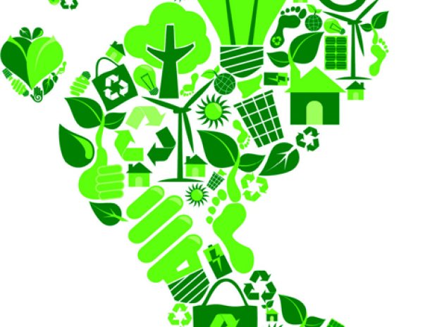 Embedding a culture of sustainability in schools