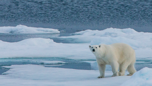 Lesson Plan: KS4 Geography, climate change | Humanities | Teach Secondary